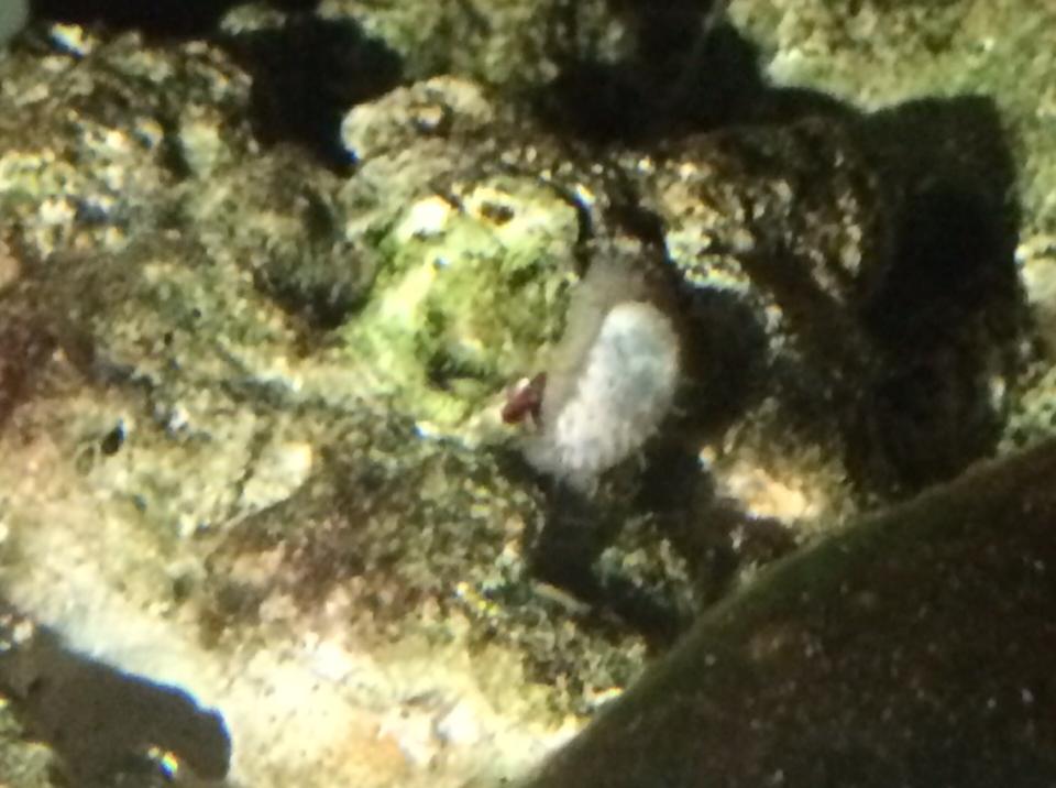 worm2.jpg