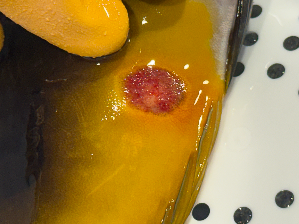 wound-external-5.png