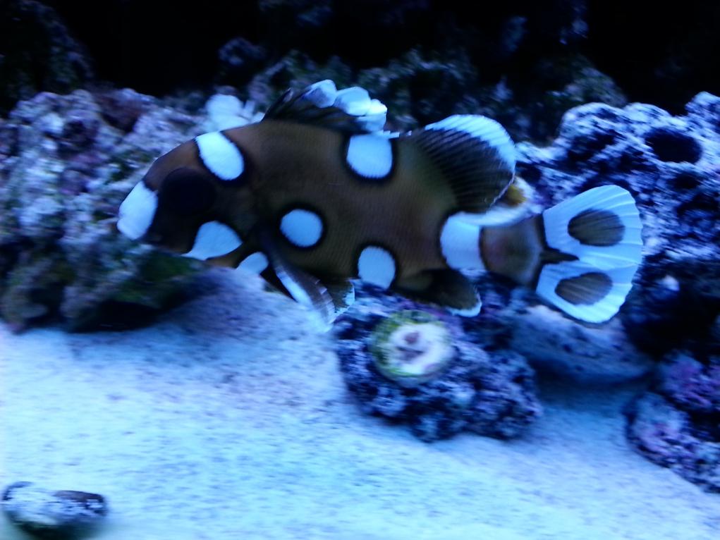 WP_20140224_025.jpg