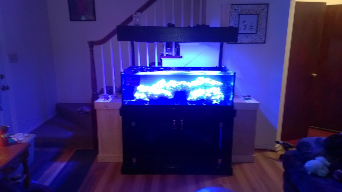 WP_20160409_002.jpg
