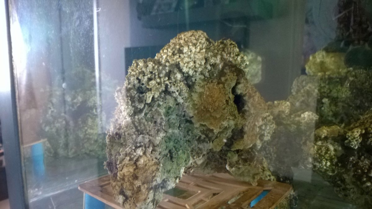 WP_20160915_003.jpg