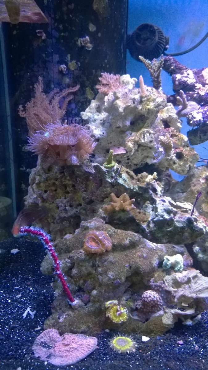 WP_20161023_005.jpg