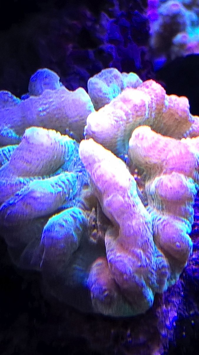 WP_20161226_18_41_29_Pro.jpg
