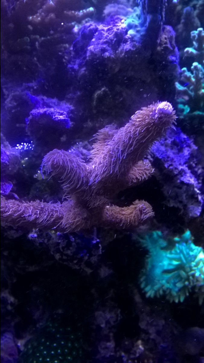 WP_20170128_18_38_53_Pro.jpg