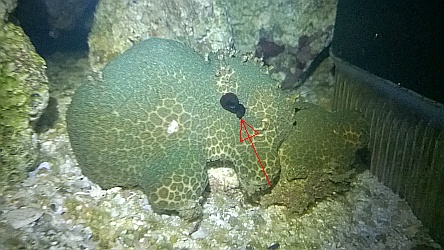 WP_20170213_002.jpg