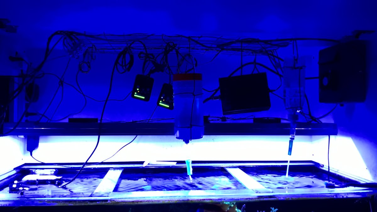 WP_20170331_05_42_27_Pro.jpg