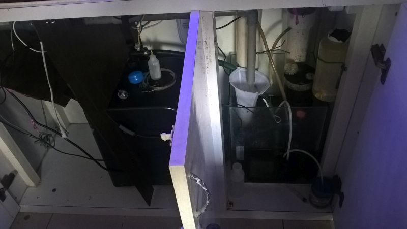 WP_20170402_07_44_07_Pro.jpg