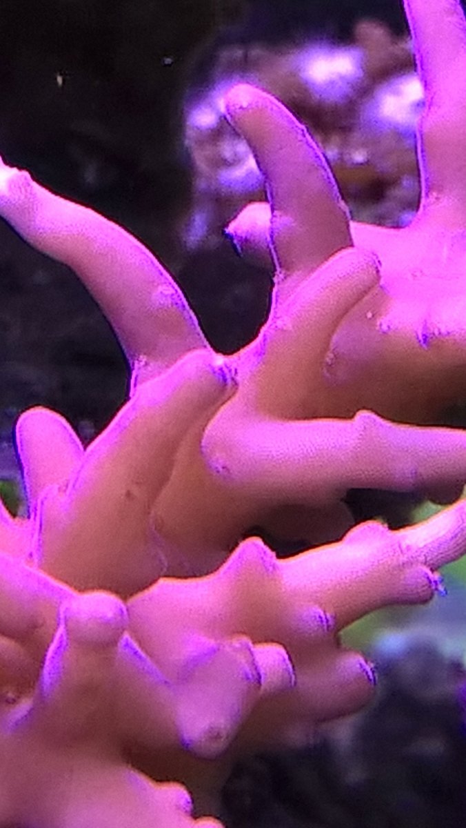 WP_20170403_18_30_33_Pro.jpg