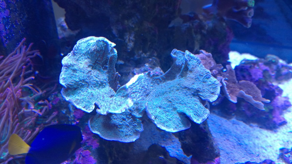 WP_20170507_007.jpg