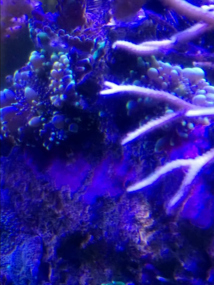 WP_20170628_07_24_35_Pro.jpg