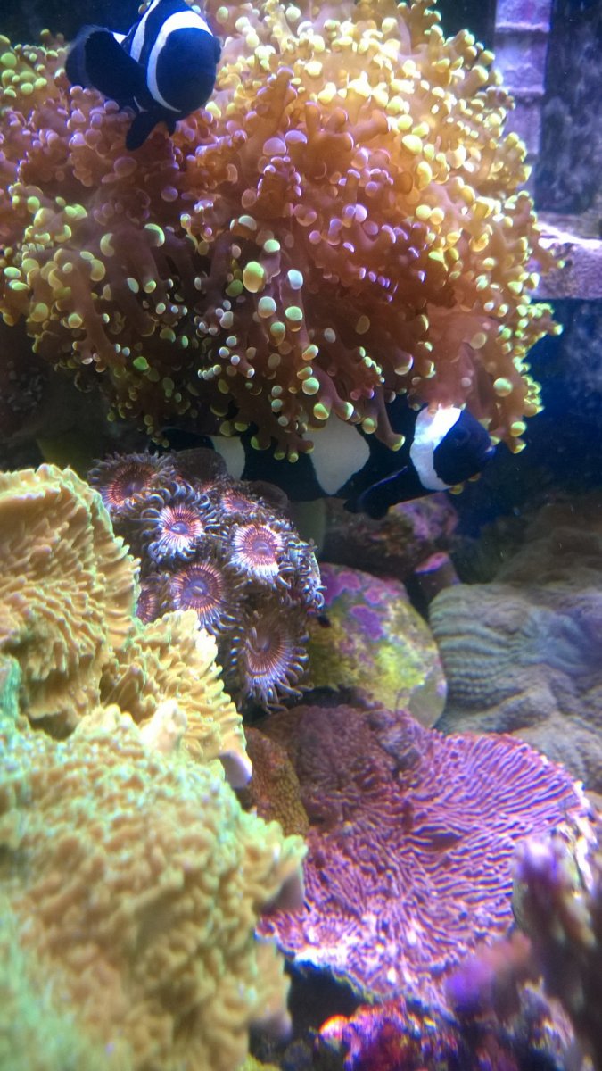 WP_20170715_033.jpg