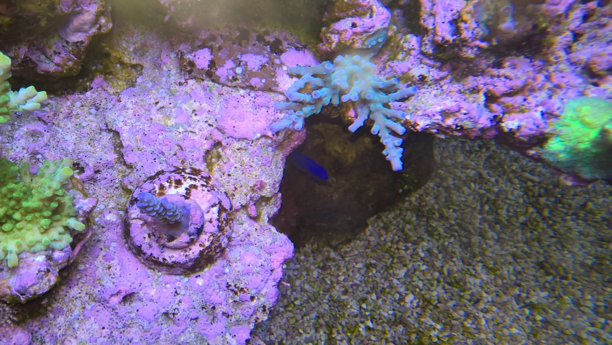 WP_20171023_08_38_46_Pro.jpg