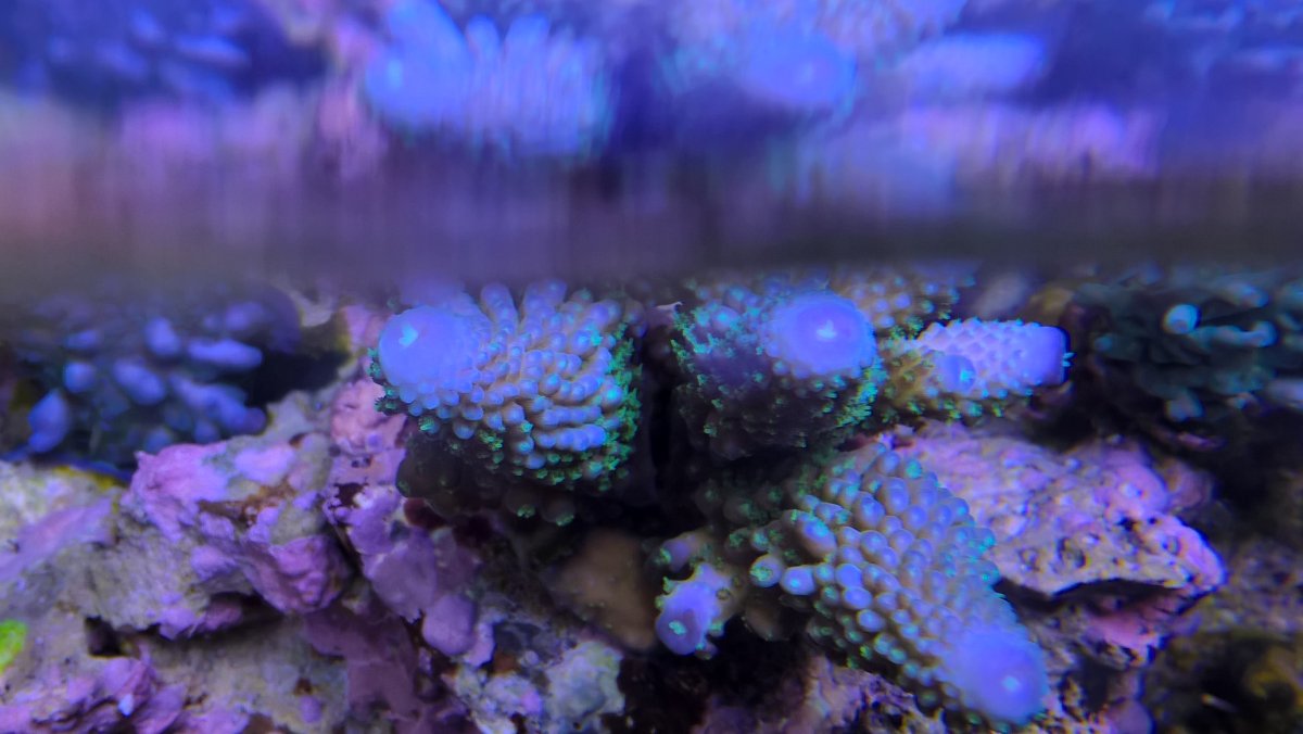 WP_20171023_08_40_08_Pro.jpg