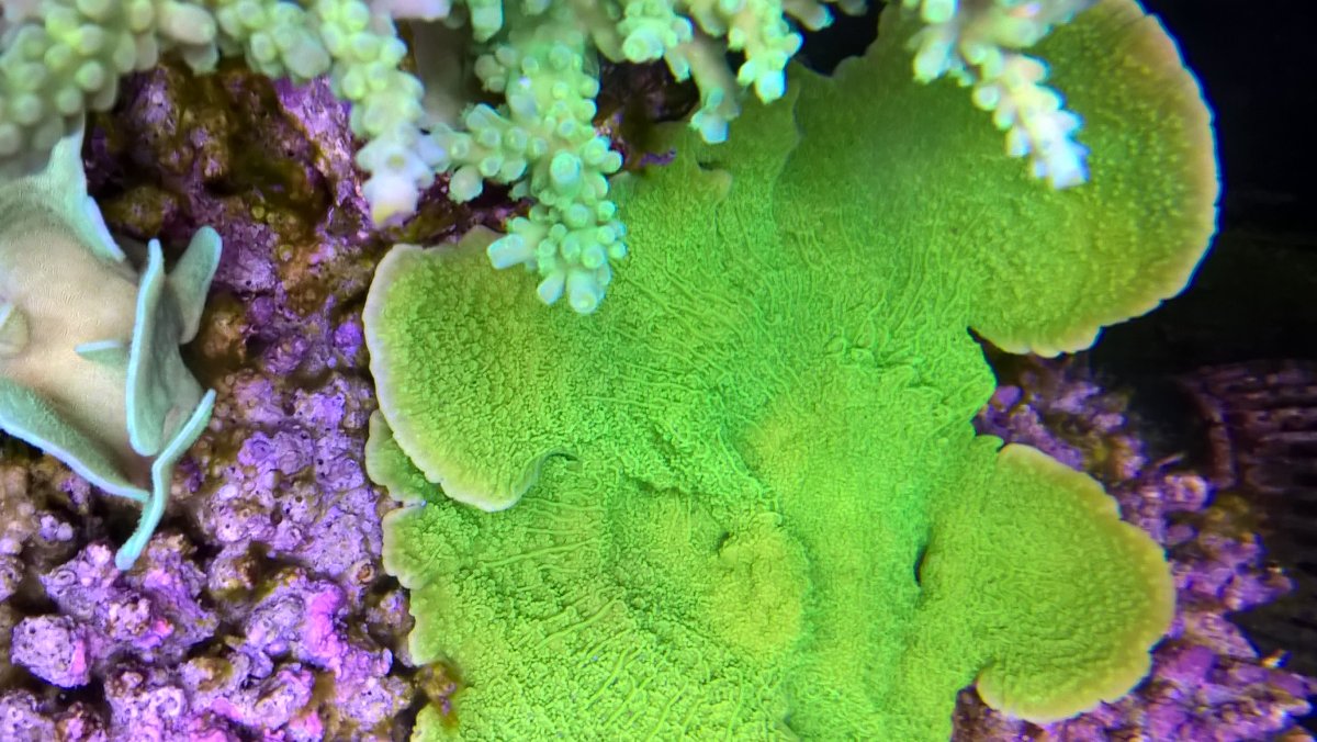 WP_20171023_08_40_17_Pro.jpg