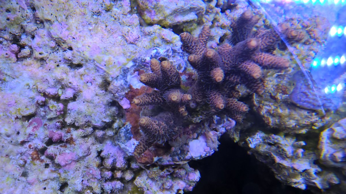 WP_20171023_08_41_46_Pro.jpg