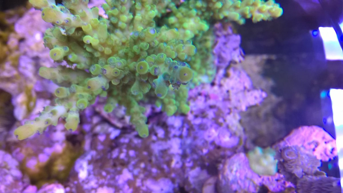 WP_20171023_08_42_17_Pro.jpg