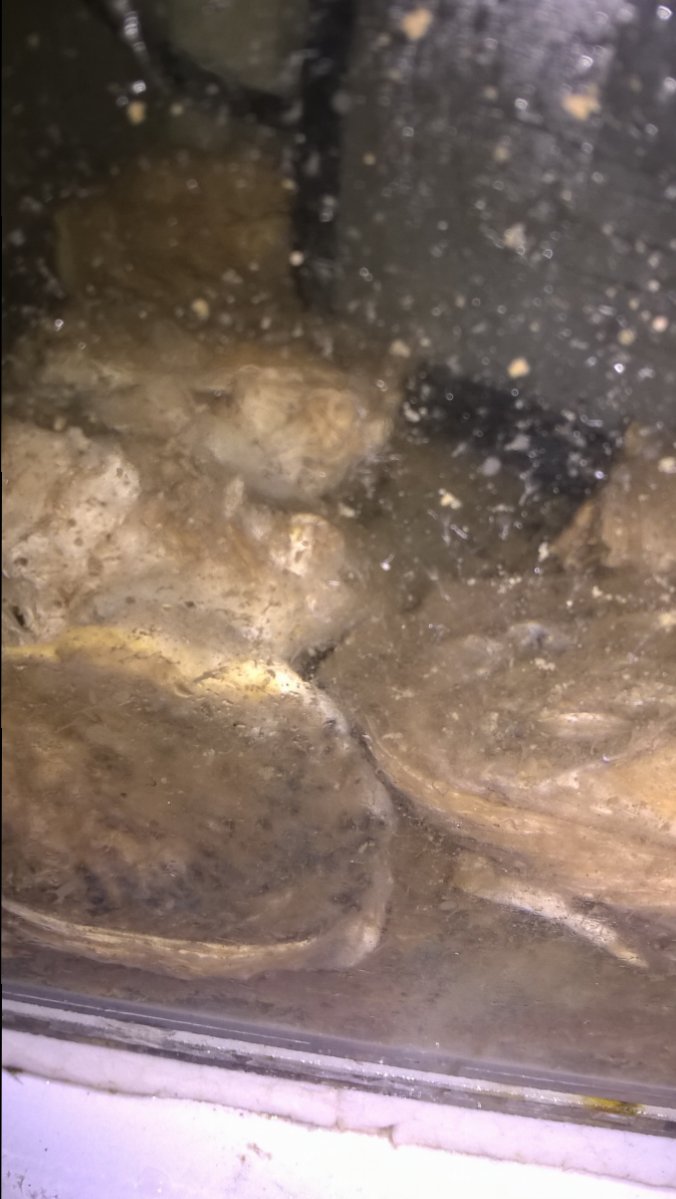 WP_20171216_21_52_53_Pro.jpg