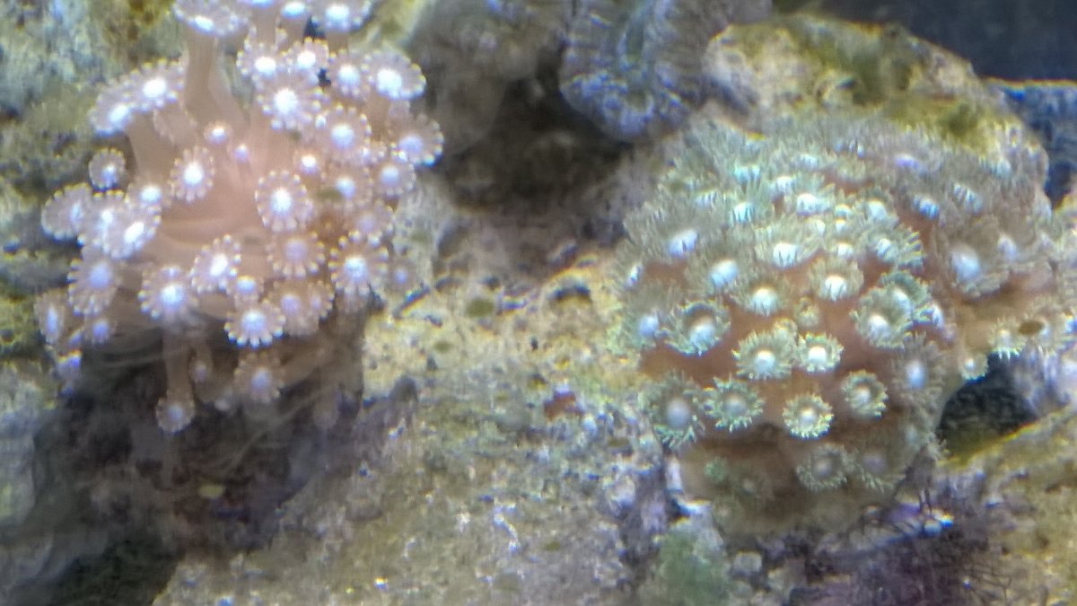 WP_20201012_14_53_39_Pro.jpg