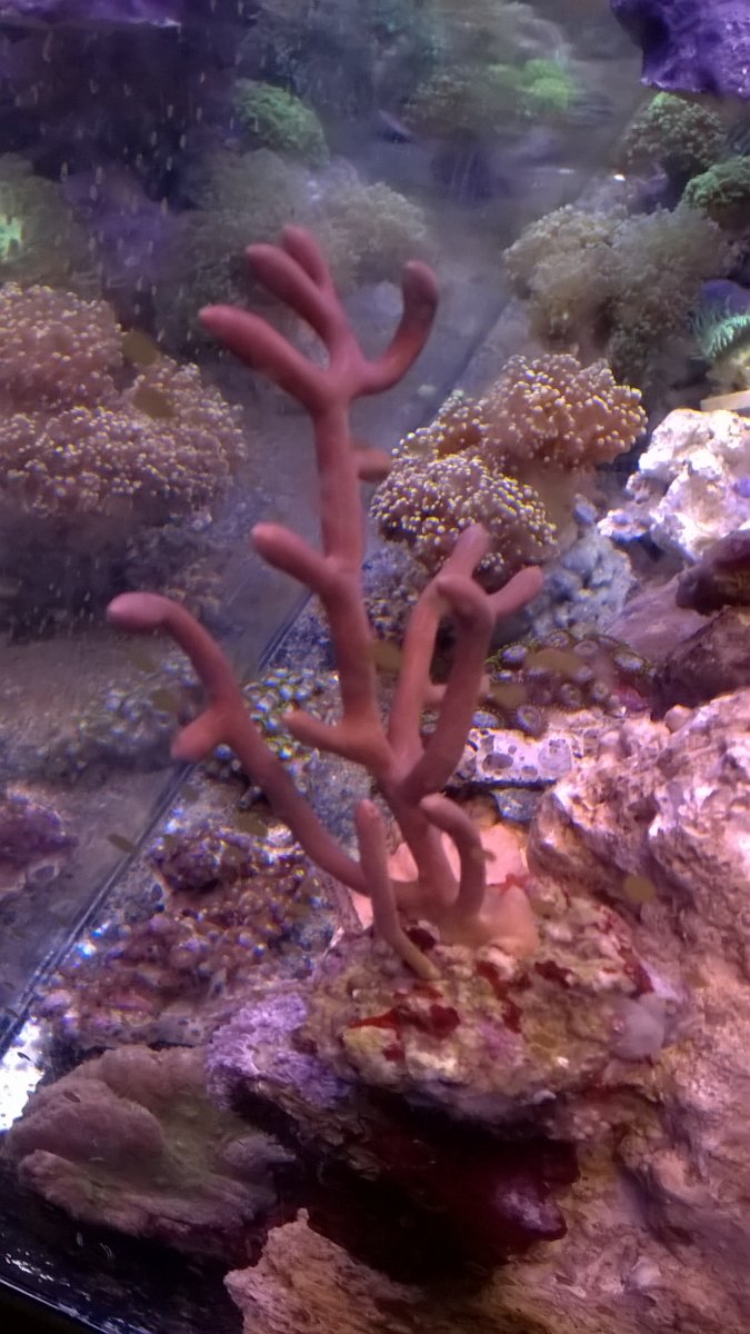 WP_20201020_11_53_08_Pro.jpg