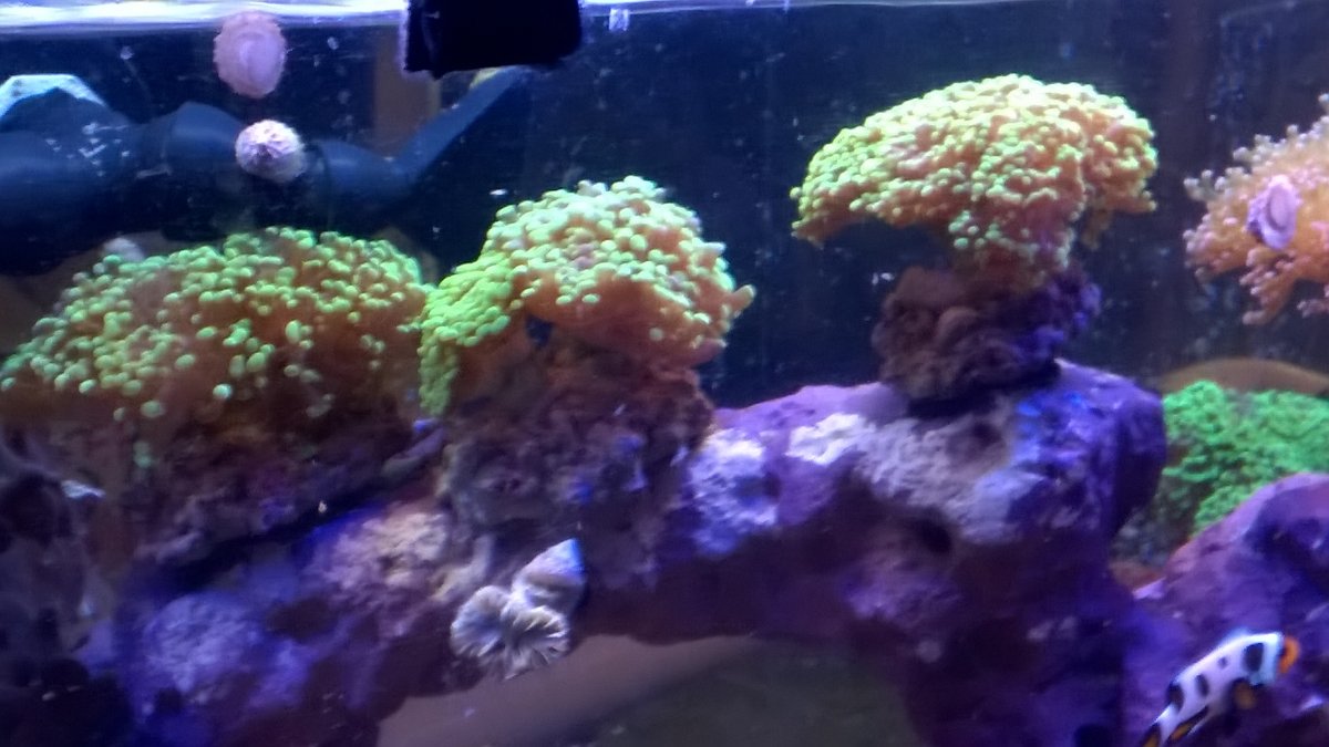 WP_20201211_13_31_48_Pro.jpg