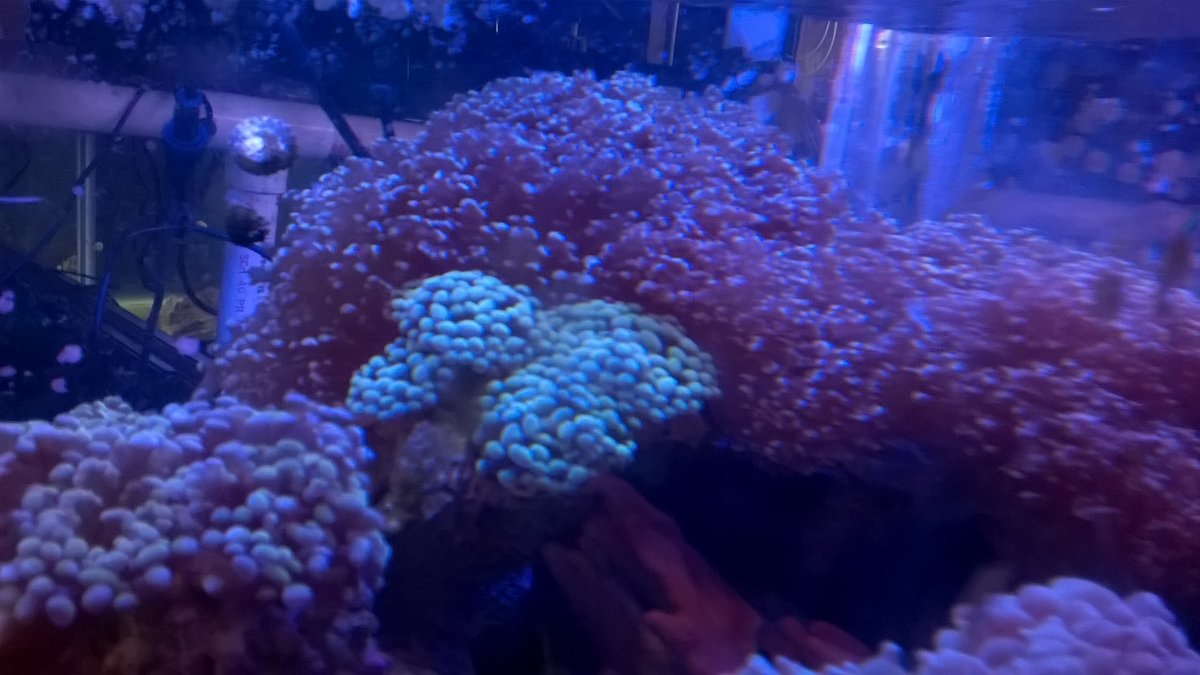 WP_20210703_13_15_26_Pro.jpg