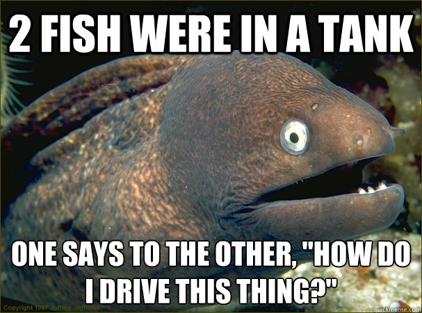 wpid-bad-joke-eel-fish-drive-tank.jpg
