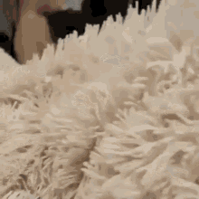Wtr2r22.gif