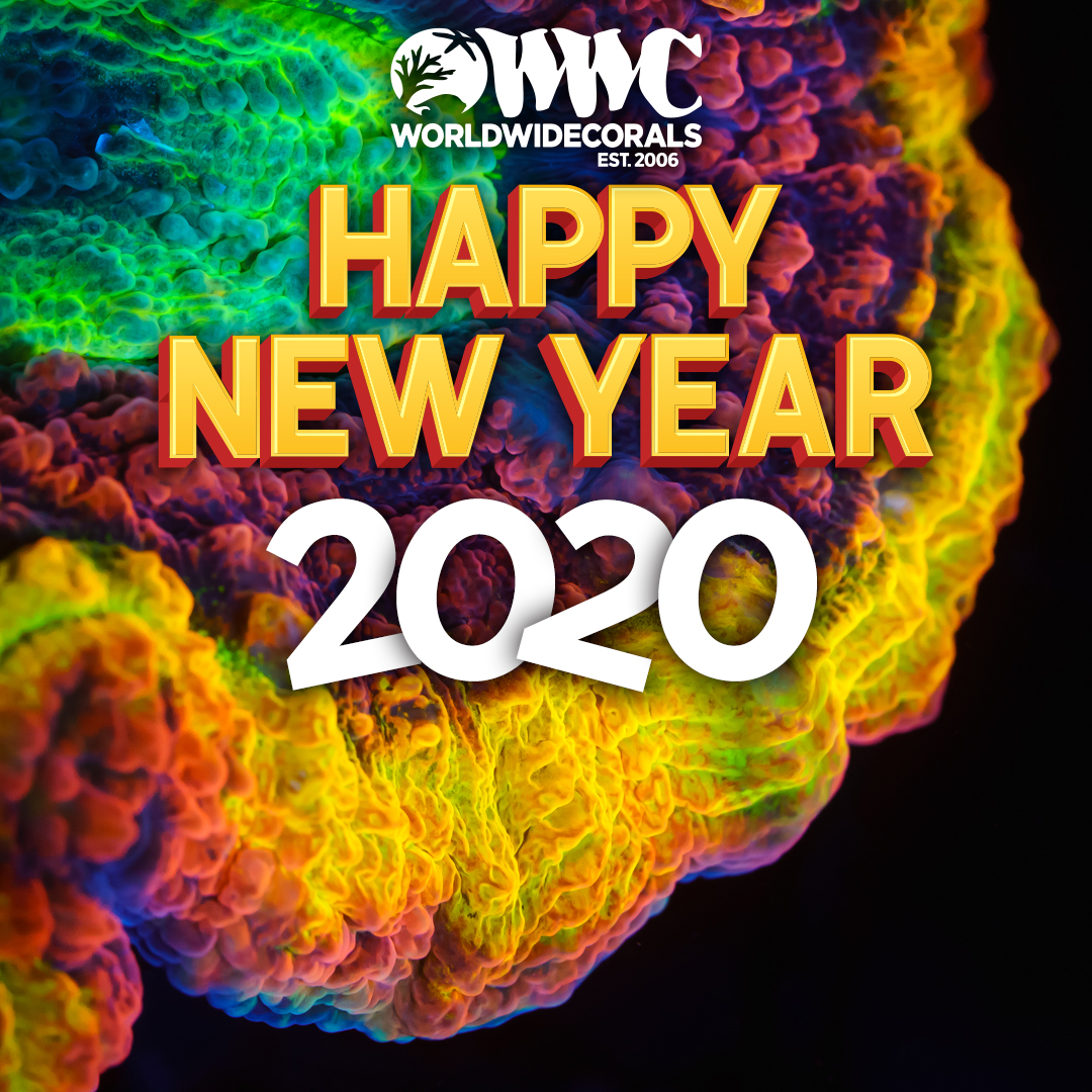 wwc_happy_new_year2020.jpg