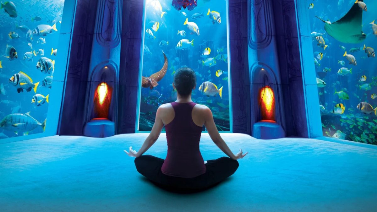 Yoga-at-Aquarium-at-Atlantis_the-Palm_Orphek_reef_aquarium-1536x864.jpeg