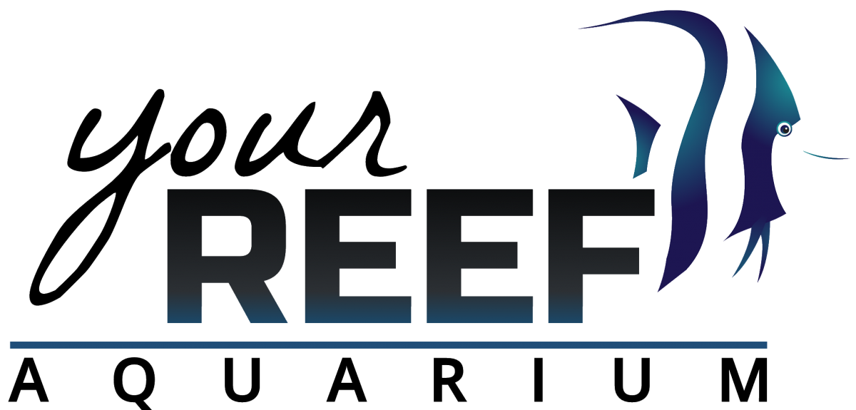 Your Reef New Logo By Art, 2017.png