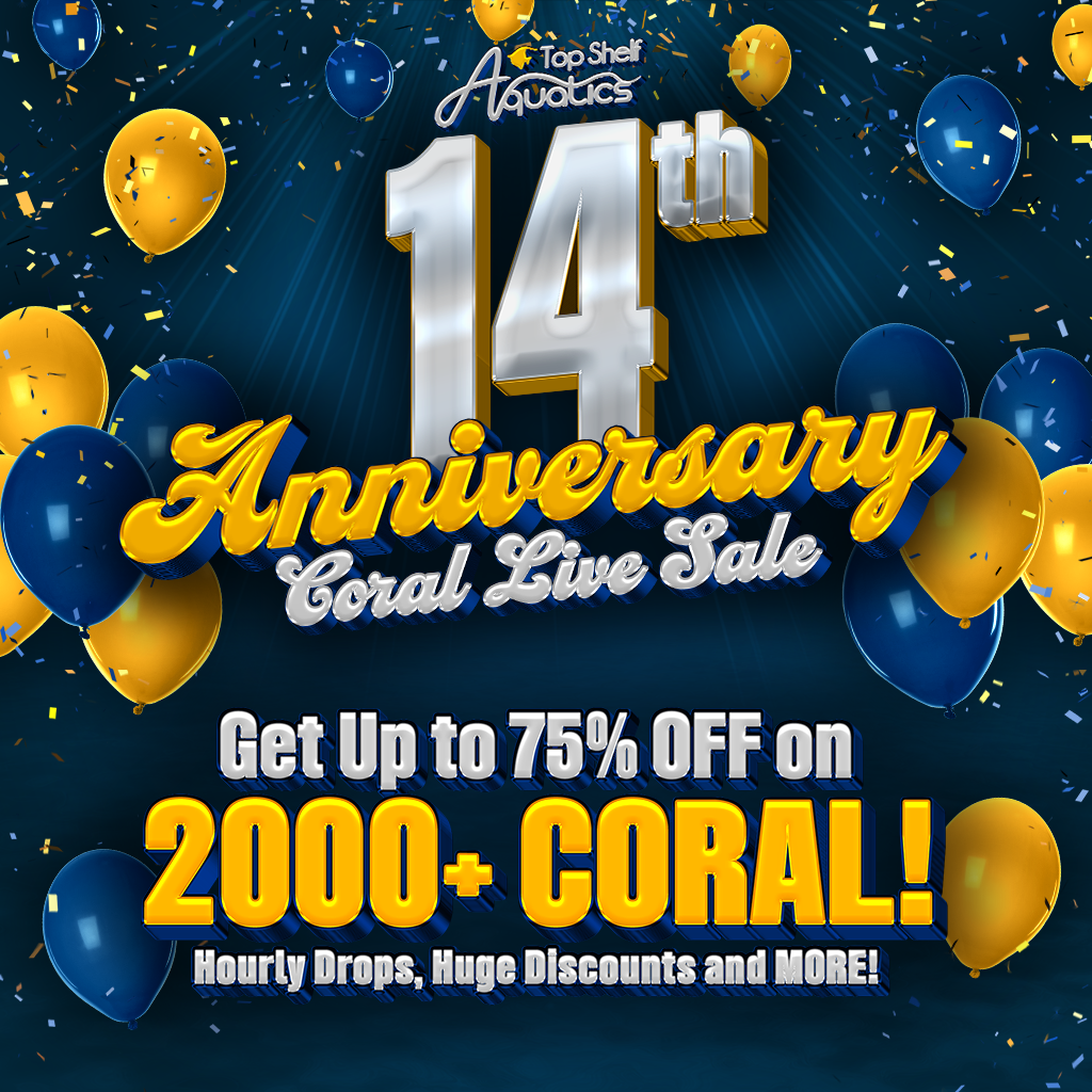 Live Sale