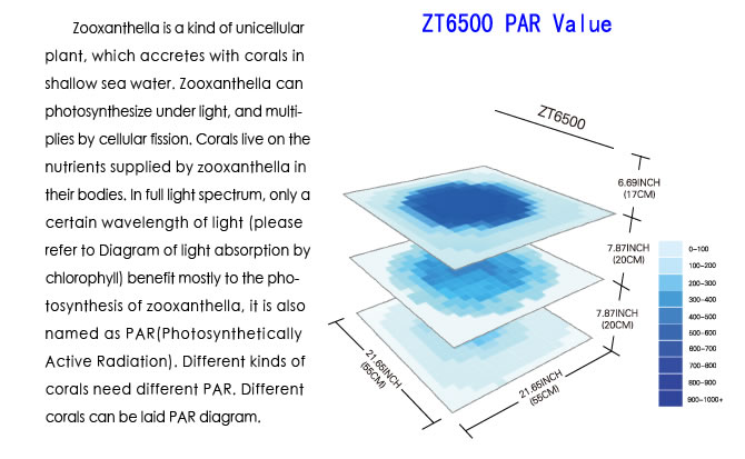 ZT6500_14.jpg