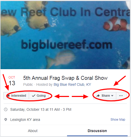 zzzzzzzzzzzzzzzzzzzzzzzzzzzzzzzzzzzzzzzzzzzzzzzzzzzzzzz Big Blue Reef Going.png