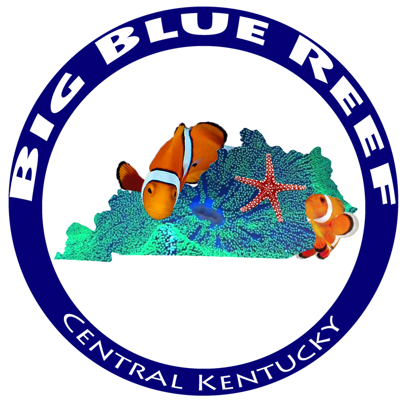 zzzzzzzzzzzzzzzzzzzzzzzzzzzzzzzzzzzzzzzzzzzzzzzzzzzzzzz Big Blue Reef Logo.png