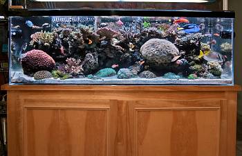 care of large polyp
