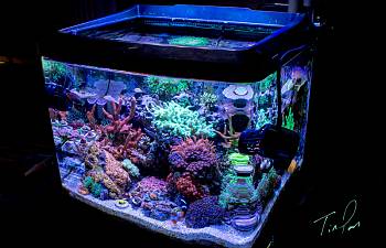 july 2014 r2r tank