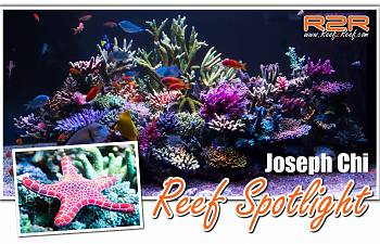 articles page 6 reef2reef