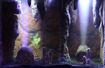magnets and your tank