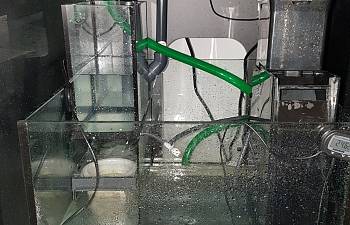 ac and dc pumps