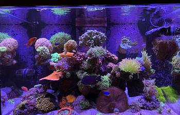 reef tank test kit