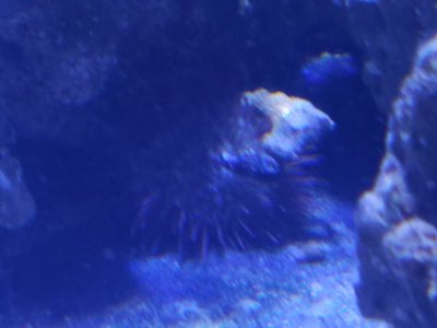 20190511_173031.jpg
