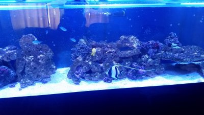 20181015_083707.jpg