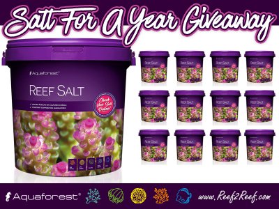 **** Aquaforest SALT FOR A YEAR GIVEAWAY!! ****