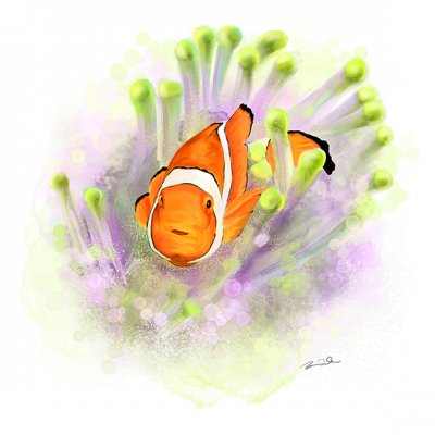Clownfish for Etsy.jpg