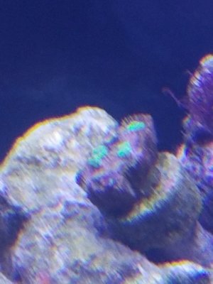 20190518_183107.jpg