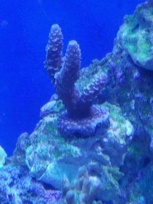 20190605_234621.jpg