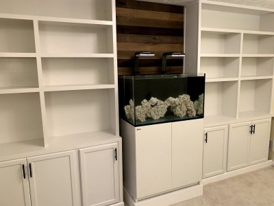 shelves-finished.jpg