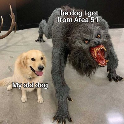 Dog vs Werewolf 16072019165418.jpg