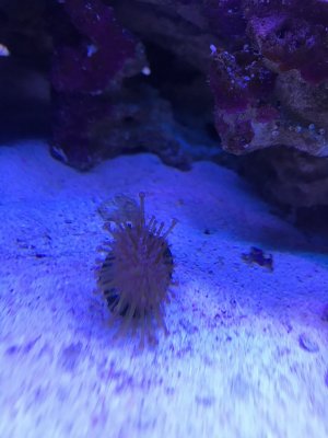 91B605C1-F483-4049-9901-3FDF0353FCB8.jpeg