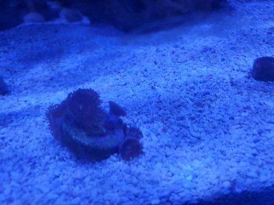 20190808_153746.jpg